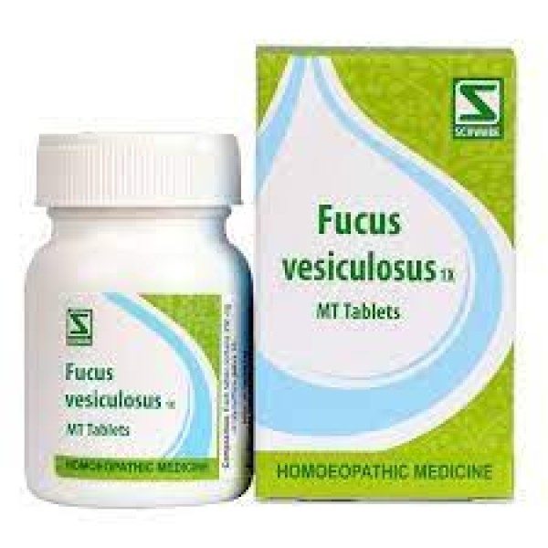 Fucus Vesiculosus